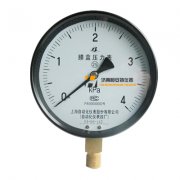 YE-150/100膜盒壓力表上自儀白云牌